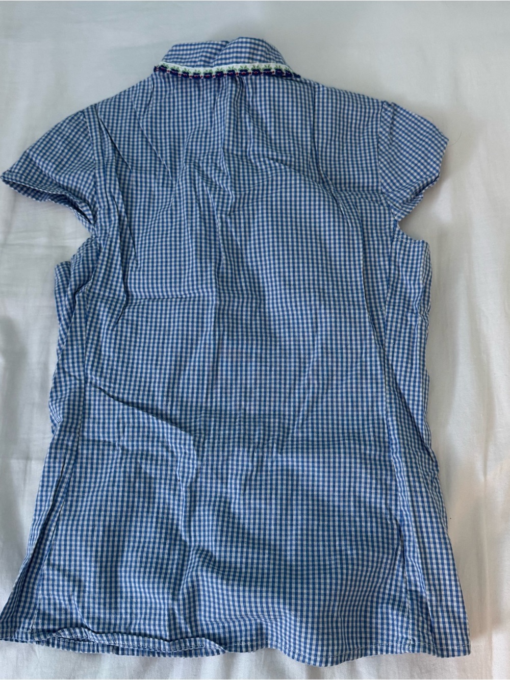 Blue Gingham Button-Up Blouse with Decorative Collar - Picture 3 of 3